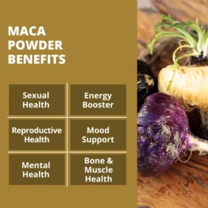 Maca-Root-Benefits